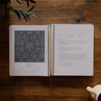 A Year in the Bible- Volume 4 | 365 Days of Discovering the Beauty of Jesus from Genesis to Revelation | Volume 4