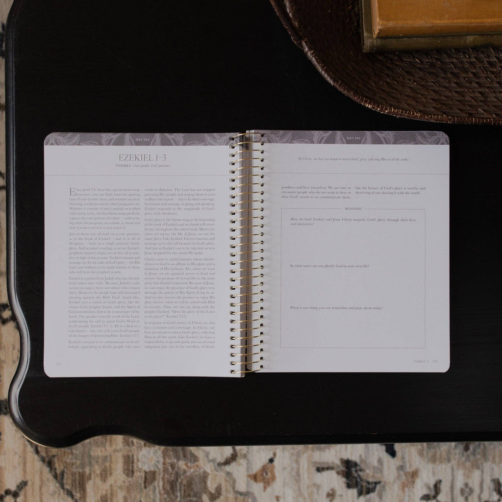 A Year in the Bible- VOLUME 2 | 365 Days of Discovering the Beauty of Jesus from Genesis to Revelation | Volume 3