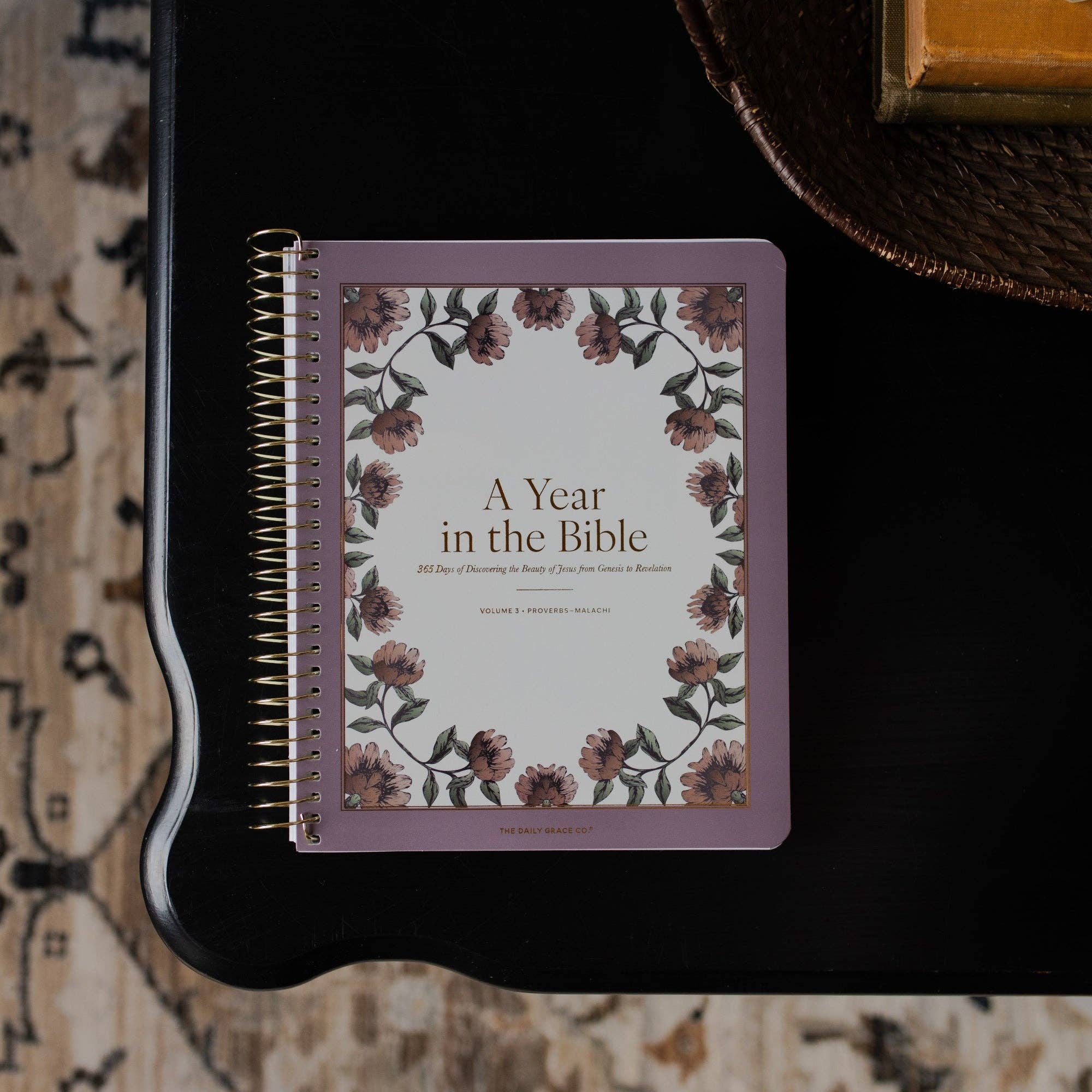 A Year in the Bible- VOLUME 2 | 365 Days of Discovering the Beauty of Jesus from Genesis to Revelation | Volume 3