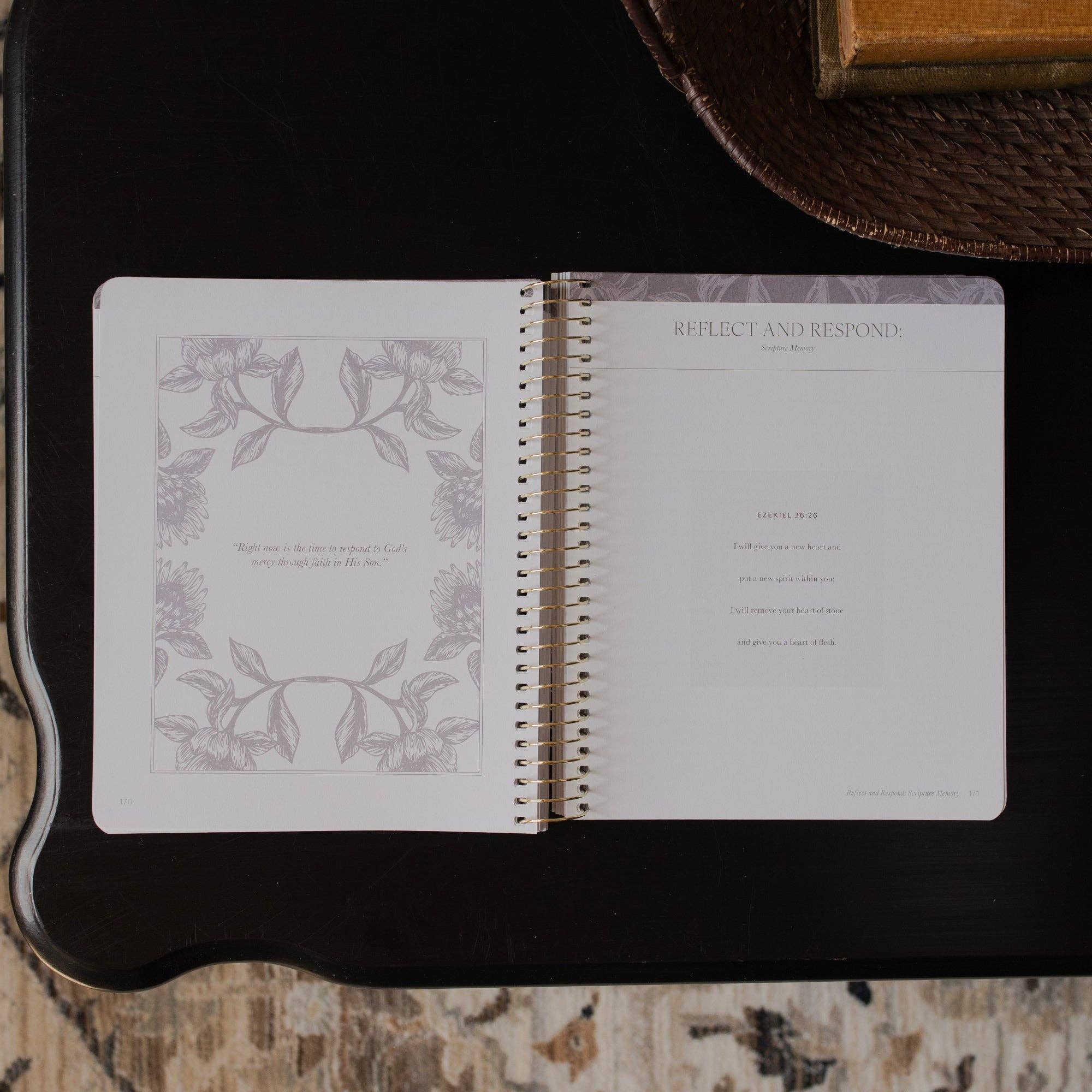 A Year in the Bible- VOLUME 2 | 365 Days of Discovering the Beauty of Jesus from Genesis to Revelation | Volume 3