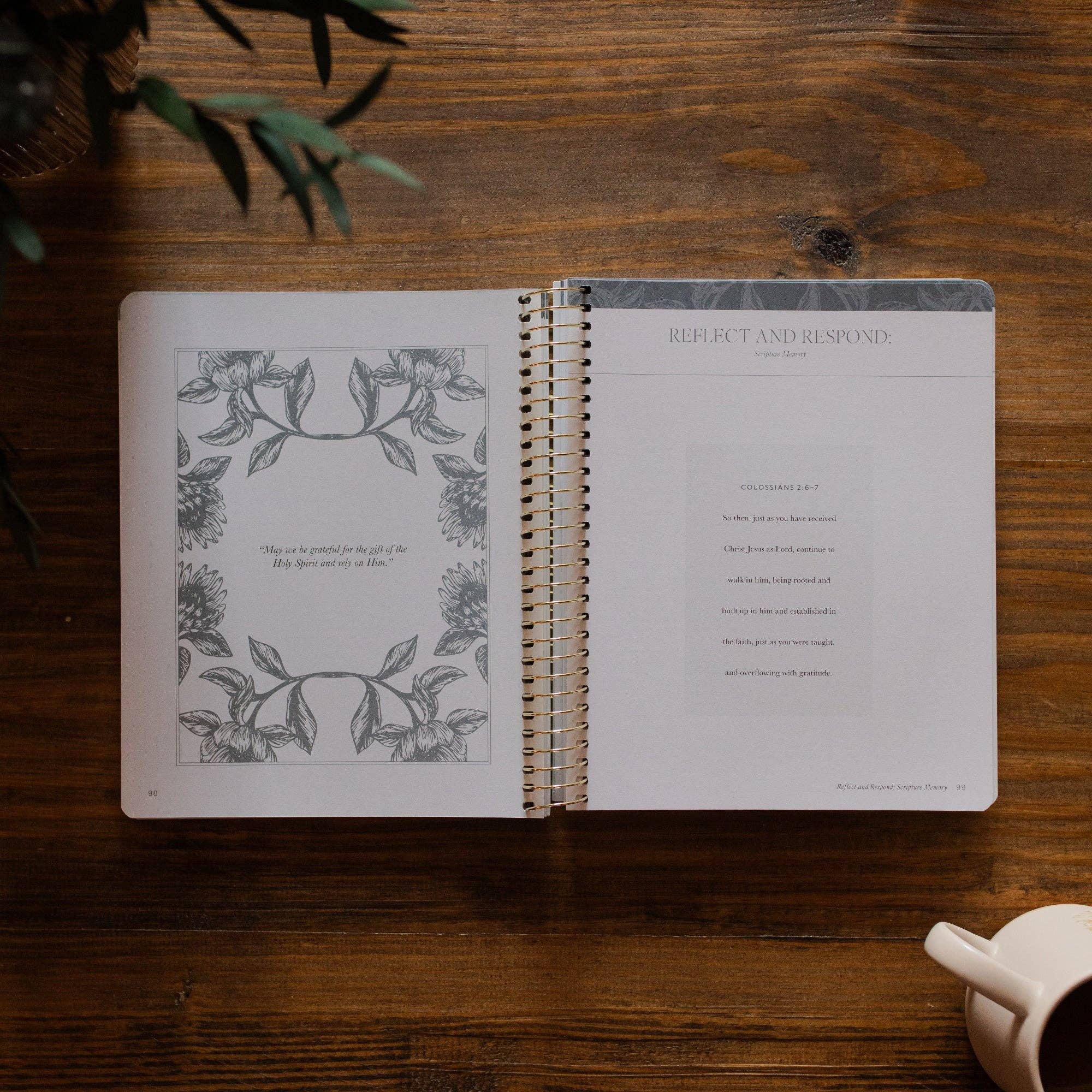 A Year in the Bible- Volume 4 | 365 Days of Discovering the Beauty of Jesus from Genesis to Revelation | Volume 4