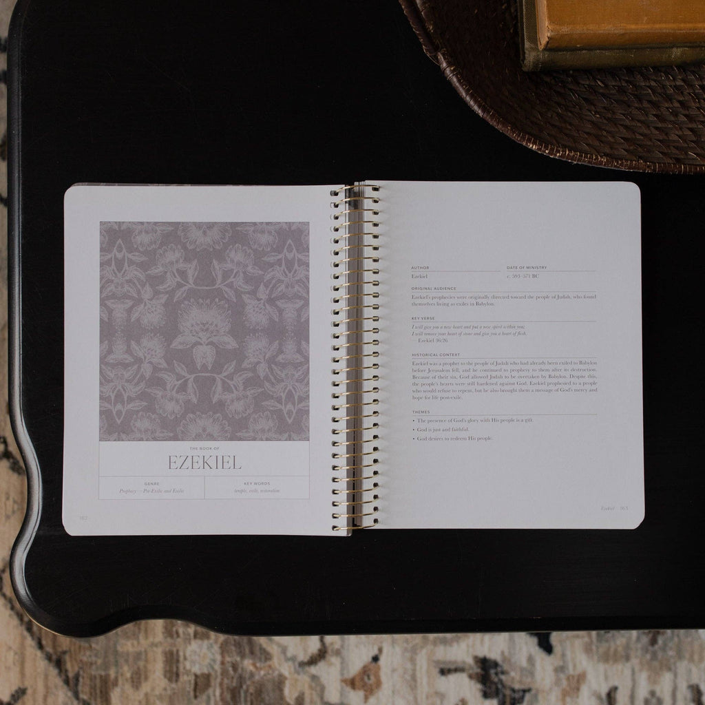 A Year in the Bible- VOLUME 2 | 365 Days of Discovering the Beauty of Jesus from Genesis to Revelation | Volume 3