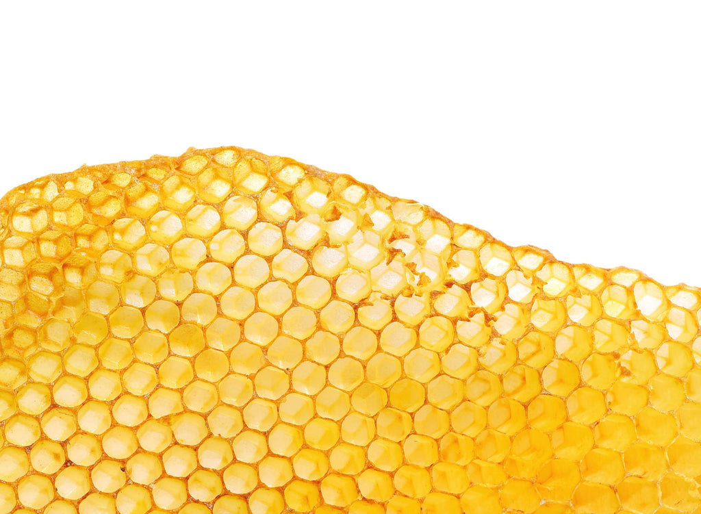 Lip Love: Clean Ingredient Lip Balm