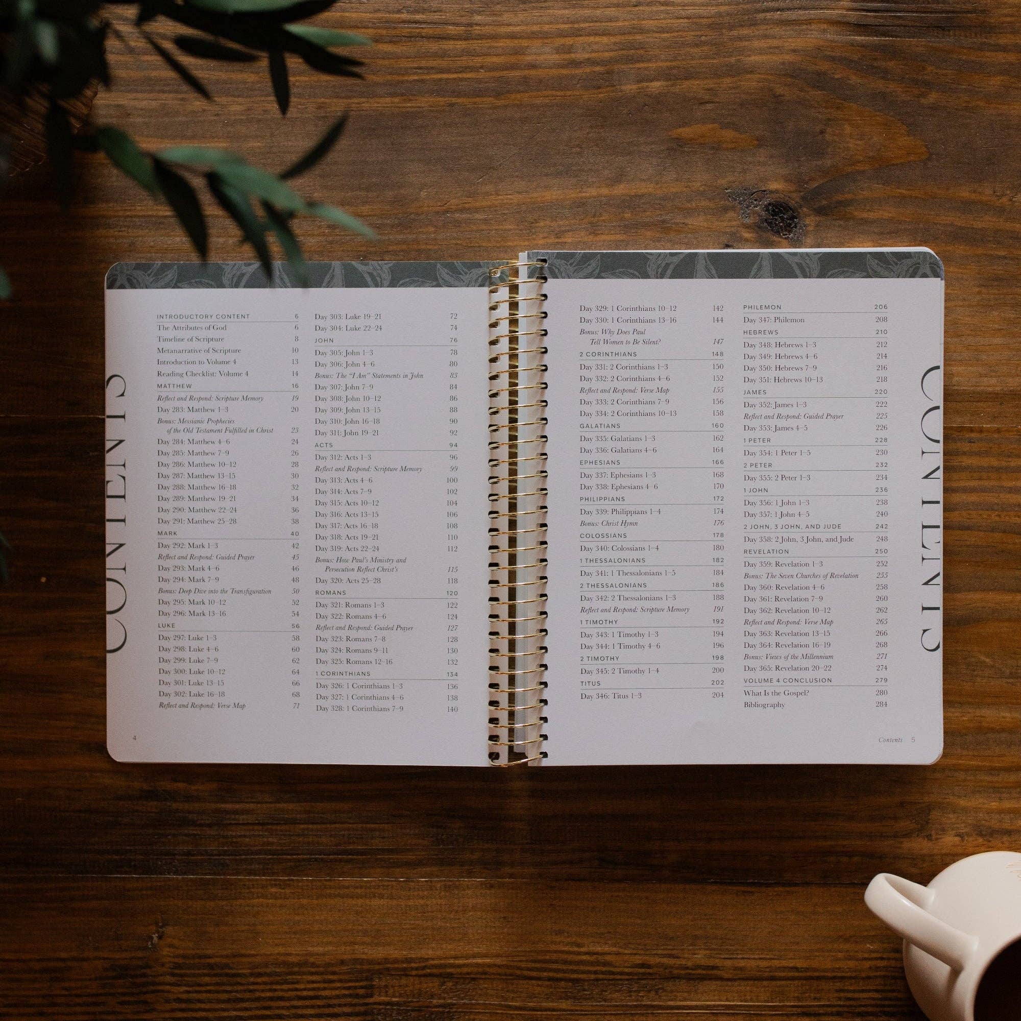 A Year in the Bible- Volume 4 | 365 Days of Discovering the Beauty of Jesus from Genesis to Revelation | Volume 4