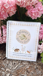 Nature Activity Busy Book