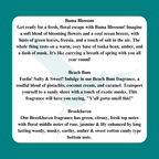 All Purpose Scented Cleaner