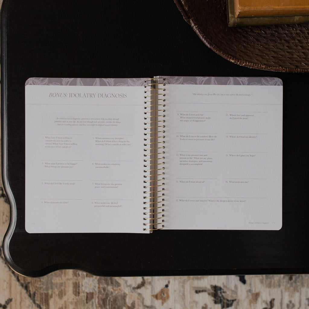 A Year in the Bible- VOLUME 2 | 365 Days of Discovering the Beauty of Jesus from Genesis to Revelation | Volume 3