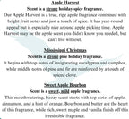 Liquid laundry detergent