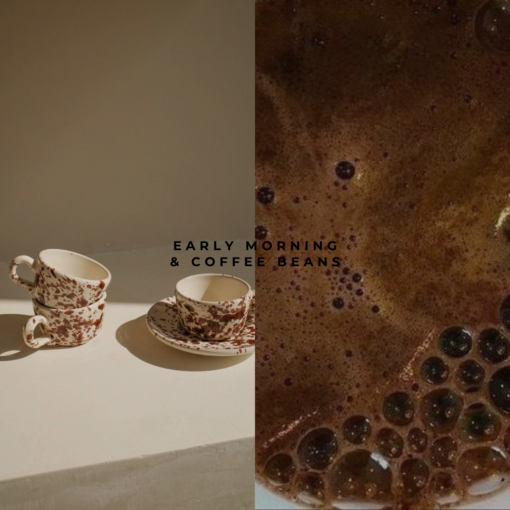 EARLY MORNING & COFFEE BEANS SOY CANDLES