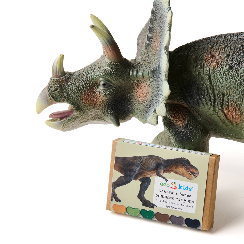 Beeswax Crayons - Dinosaur Bone - 6 Eco-Friendly Colors