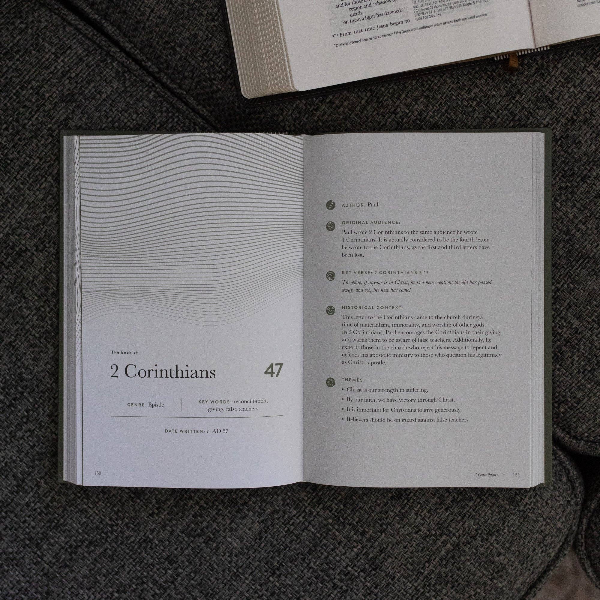 A Year in the Bible | Men's Study | 365 Days of Discovering the Beauty of Jesus from Genesis to Revelation | Volume 4